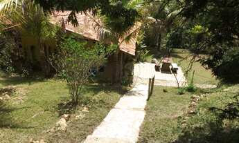 Imagem: Sitio 4.500m² com piscina, vários pés