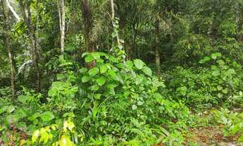 Imagem 3: Terreno para venda 10x50