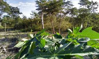 Imagem 6: Chácara Manancial