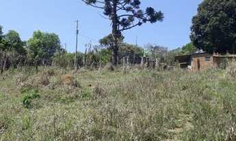 Imagem 7: Sítio 03 Hectares -Sítio Recanto do Lazer 03 Hectares