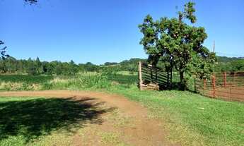 Imagem 4: Lindo sitio em missal possuindo 2.5 alqueires!!!