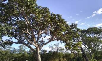 Imagem 5: Chácara Manancial