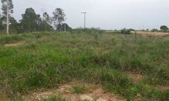 Imagem 6: Oportunidade!! Lote em Jarinu-SP/ Área com 14.741,86m² / R$400.000