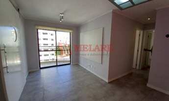 Imagem 4: SãO PAULO - Padrão - Perdizes