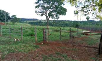 Imagem 7: Chácara de 18 hectares. com Córrego. 28 km de Campo Grande