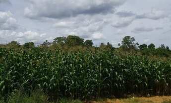 Imagem 6: Sítio 10ha localizado em Caetanópolis/MG