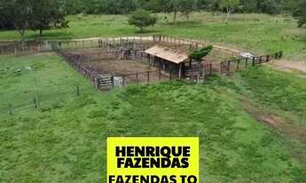 Imagem 7: Fazenda dupla aptidão região sul do Tocantins ....
