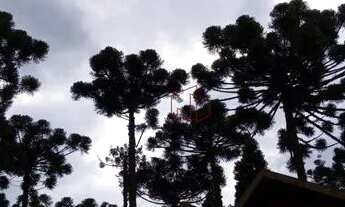 Imagem 6: Casa no bairro Jardim dos Pinheiros II em Canela!