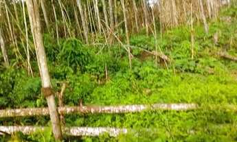 Imagem 11: Vendo uma colônia de 632 hectares, com 35 hectares de pasto mais 40 hectare