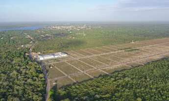 Imagem 7: Lotes Em Jijoca-Jeri, 10X25, Parcelas De R$ 328 E Entrada Facilitada. confira já