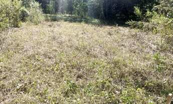 Imagem 7: Chácaras em Guapó