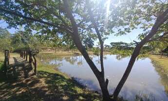 Imagem 7: Vendo 4 Lotes Juntos ( 1.440 m2) / Frente ao Parque !!!!