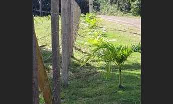 Imagem 2: Venda Chácara com venda por R$80.000