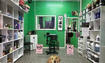 Imagem 4: Loja com 53m² privativos, localizada no bairro São João em Porto Alegre/RS