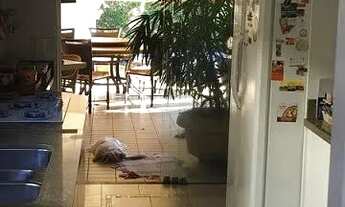 Imagem 6: Casa de Condominio em Green Valley Edge City - São José do Rio Preto