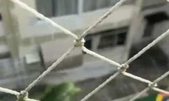 Imagem 3: Apartamento de dois quartos no Cachambi !!!