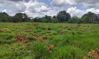 Imagem 6: Condomínio de chácaras em Oliveira dos Campinhos