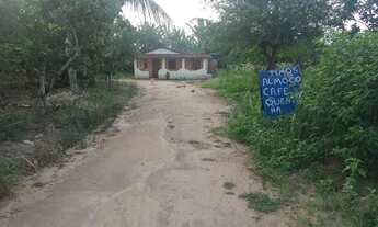 Imagem 6: Vendo excelente sítio em laje