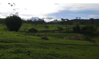 Imagem 4: Fazenda a venda em Ipameri - Goiás!!!