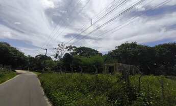 Imagem 3: Terreno do Timbuba Paço do Lumiar 17mil m²