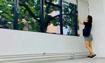 Imagem 7: CONJ. COMERCIAL - BROOKLIN - SP