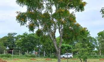 Imagem: Terreno 5.000 a 28km de Cuiaba - Parque