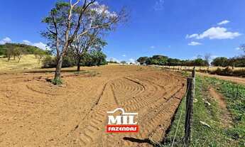 Imagem 4: Fazendinha de Dupla Aptidão, localizada no mun. de Leopoldo de Bulhões