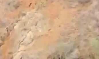 Imagem: VENDE-SE 49,6 HACTARE PARA PLANTIO DE CAFÉ