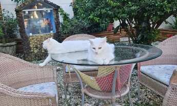 Imagem 4: Vendo Linda Casa No Aracagy