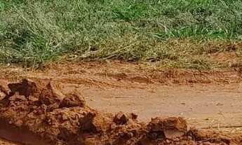 Imagem 2: Terreno rural em excelente localização!