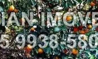 Imagem 5: Chácara com rio e pomares - Água Fria - Chapada dos Guimarães