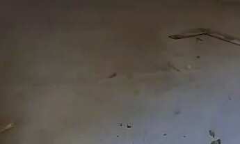 Imagem 6: Galpão 200m ² com área externa grande