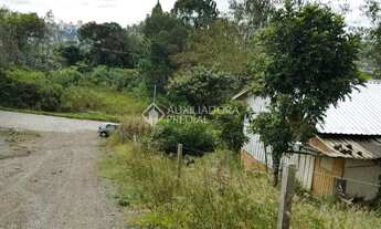 Imagem 3: Terreno no bairro Salgado Filho