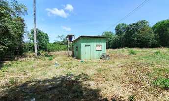 Imagem 2: Terreno ideal para sítio na estrada de Balbina km 24 comunidade São Francisco de Assis