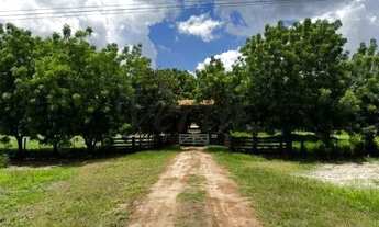 Imagem 2: Fazenda - Área Rural de Cáceres - Cáceres