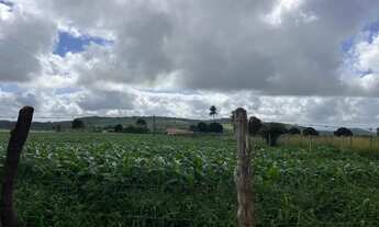 Imagem: Casa e terreno de 5,5 tarefas no Mulungu