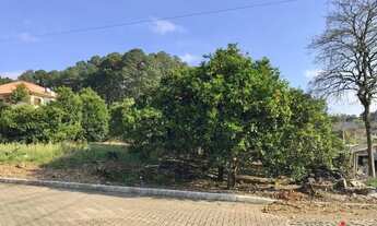 Imagem 3: Terreno para Venda em Nova Petrópolis, Logradouro