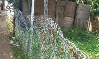 Imagem: TERRENO NOVO ALEIXO