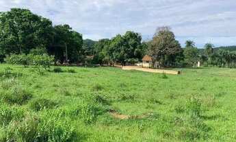 Imagem: Excelente Fazenda para cria e engorda de