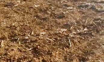 Imagem: Vendi 2 hectares de terra