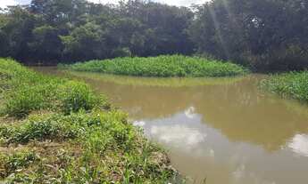 Imagem 6: Chácara com 7mil metros² em terreno