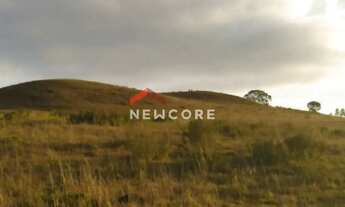 Imagem 7: Lote em Estrada do Blang - Interior - São Francisco de Paula/RS