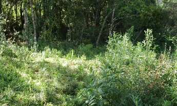 Imagem 5: Lote em Campos do Jordão - Vila Abernéssia - Campos do Jordão/SP