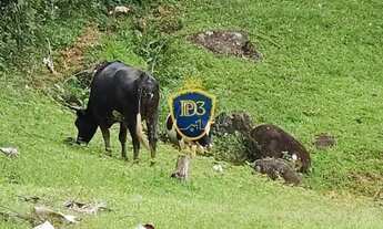 Imagem: CHACARA COM 100.000m² A VENDA COM VISTA