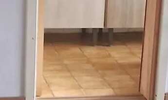 Imagem 5: Apartamento com 01 Quarto e 01 vaga no Bairro Morro Santana