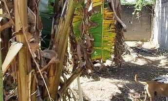 Imagem 3: Venda Terreno Enseada Jacaraipe- Serra - ES