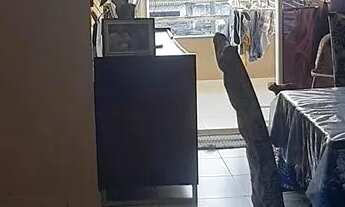 Imagem 3: Apartamento três quartos em Nova Descoberta