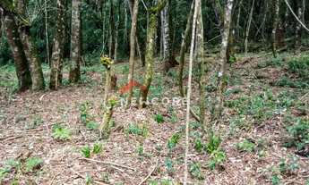 Imagem 2: Lote em Nova Capivari - Nova Capivari - Campos do Jordão/SP