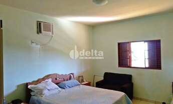 Imagem 7: Chácara Residencial disponível para Venda no bairro Área Rural em Uberlândia-MG