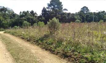 Imagem 3: Imóvel para venda possui 6590 metros quadrados em Colônia Murici - São José dos Pinhais